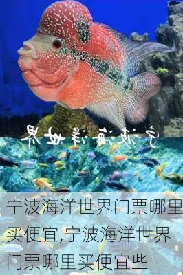 宁波海洋世界门票哪里买便宜,宁波海洋世界门票哪里买便宜些