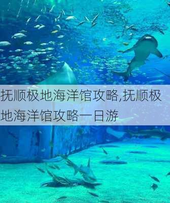 抚顺极地海洋馆攻略,抚顺极地海洋馆攻略一日游