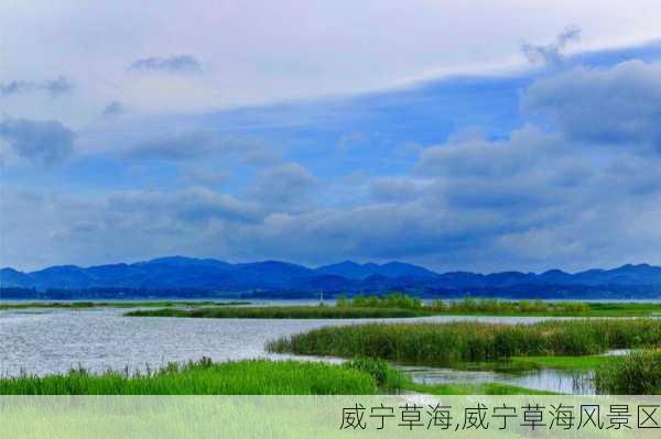 威宁草海,威宁草海风景区