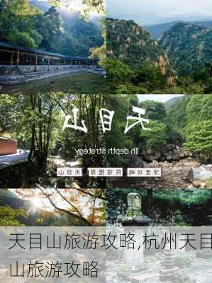 天目山旅游攻略,杭州天目山旅游攻略