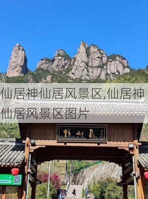 仙居神仙居风景区,仙居神仙居风景区图片