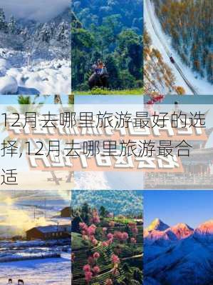 12月去哪里旅游最好的选择,12月去哪里旅游最合适