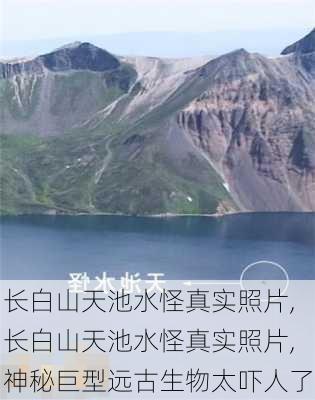 长白山天池水怪真实照片,长白山天池水怪真实照片,神秘巨型远古生物太吓人了