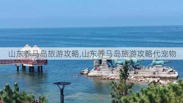 山东养马岛旅游攻略,山东养马岛旅游攻略代宠物