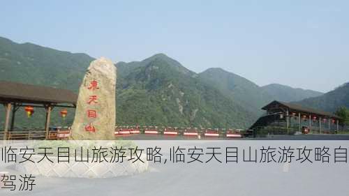 临安天目山旅游攻略,临安天目山旅游攻略自驾游