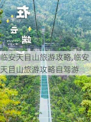 临安天目山旅游攻略,临安天目山旅游攻略自驾游