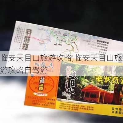 临安天目山旅游攻略,临安天目山旅游攻略自驾游