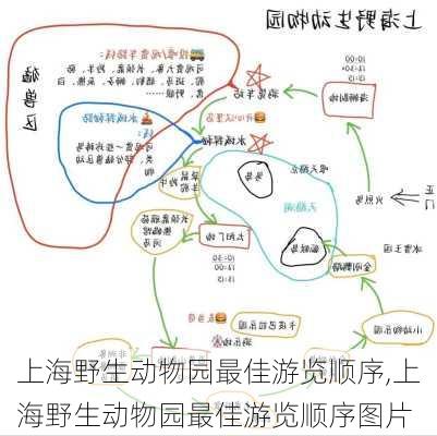 上海野生动物园最佳游览顺序,上海野生动物园最佳游览顺序图片