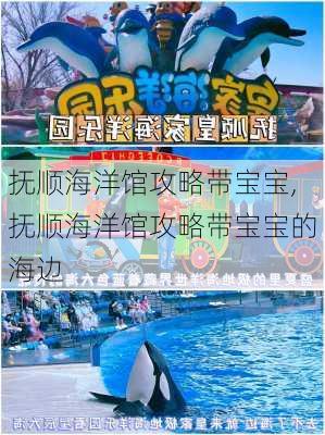 抚顺海洋馆攻略带宝宝,抚顺海洋馆攻略带宝宝的海边