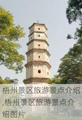 梧州景区旅游景点介绍,梧州景区旅游景点介绍图片