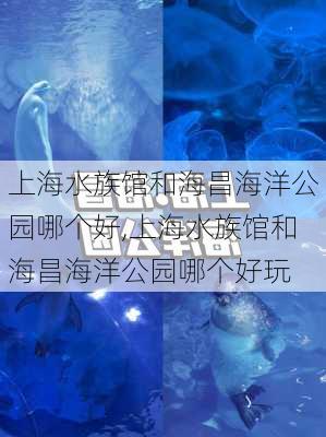 上海水族馆和海昌海洋公园哪个好,上海水族馆和海昌海洋公园哪个好玩