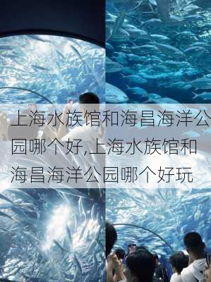 上海水族馆和海昌海洋公园哪个好,上海水族馆和海昌海洋公园哪个好玩