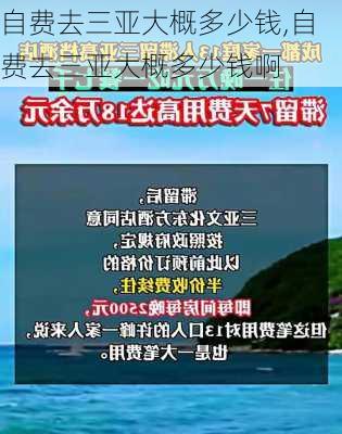 自费去三亚大概多少钱,自费去三亚大概多少钱啊