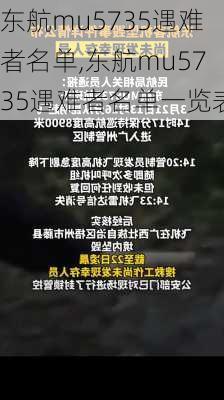 东航mu5735遇难者名单,东航mu5735遇难者名单一览表