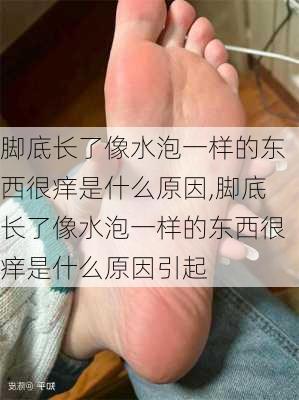 脚底长了像水泡一样的东西很痒是什么原因,脚底长了像水泡一样的东西很痒是什么原因引起