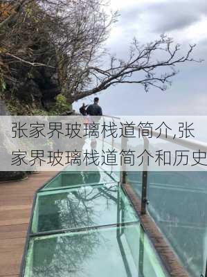 张家界玻璃栈道简介,张家界玻璃栈道简介和历史