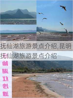 抚仙湖旅游景点介绍,昆明抚仙湖旅游景点介绍