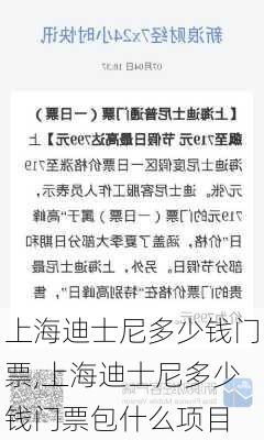 上海迪士尼多少钱门票,上海迪士尼多少钱门票包什么项目