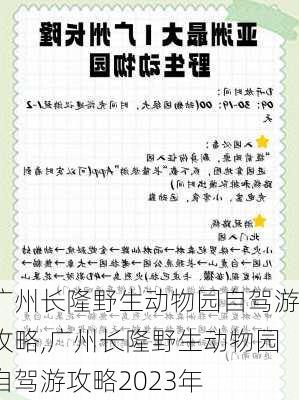 广州长隆野生动物园自驾游攻略,广州长隆野生动物园自驾游攻略2023年