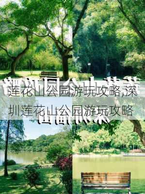 莲花山公园游玩攻略,深圳莲花山公园游玩攻略