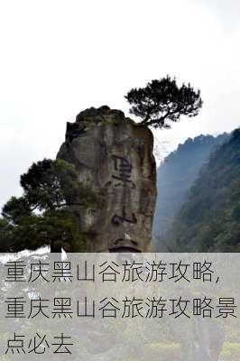 重庆黑山谷旅游攻略,重庆黑山谷旅游攻略景点必去