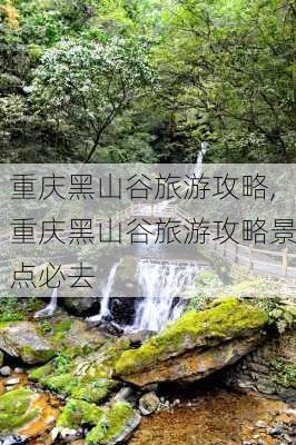 重庆黑山谷旅游攻略,重庆黑山谷旅游攻略景点必去