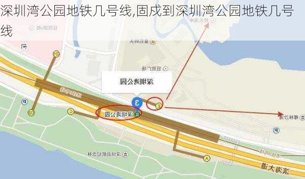 深圳湾公园地铁几号线,固戍到深圳湾公园地铁几号线