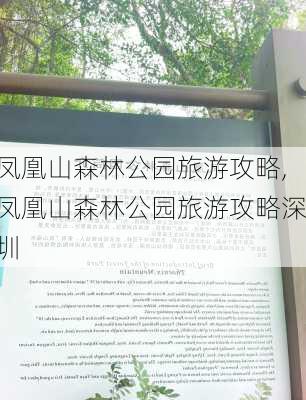 凤凰山森林公园旅游攻略,凤凰山森林公园旅游攻略深圳