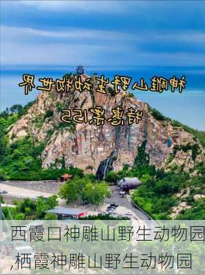 西霞口神雕山野生动物园,栖霞神雕山野生动物园