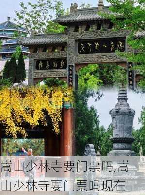 嵩山少林寺要门票吗,嵩山少林寺要门票吗现在