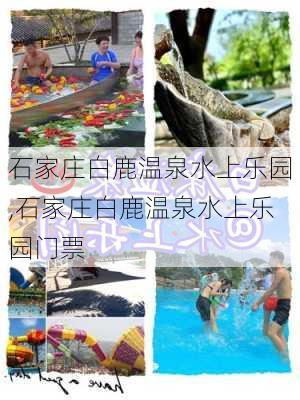 石家庄白鹿温泉水上乐园,石家庄白鹿温泉水上乐园门票