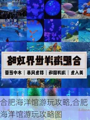 合肥海洋馆游玩攻略,合肥海洋馆游玩攻略图