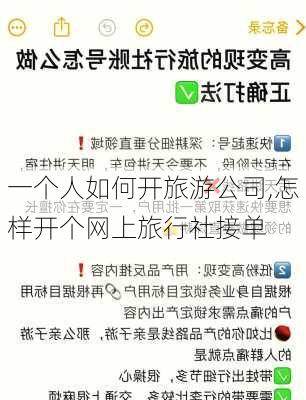 一个人如何开旅游公司,怎样开个网上旅行社接单