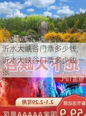 沂水大峡谷门票多少钱,沂水大峡谷门票多少钱一张