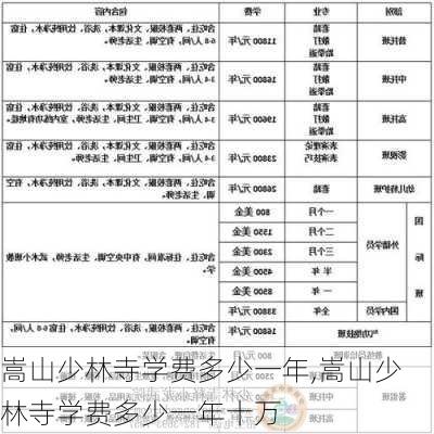 嵩山少林寺学费多少一年,嵩山少林寺学费多少一年十万