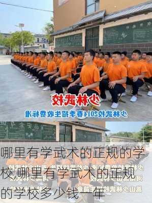 哪里有学武术的正规的学校,哪里有学武术的正规的学校多少钱一年