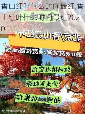 香山红叶什么时间最红,香山红叶什么时间最红2020