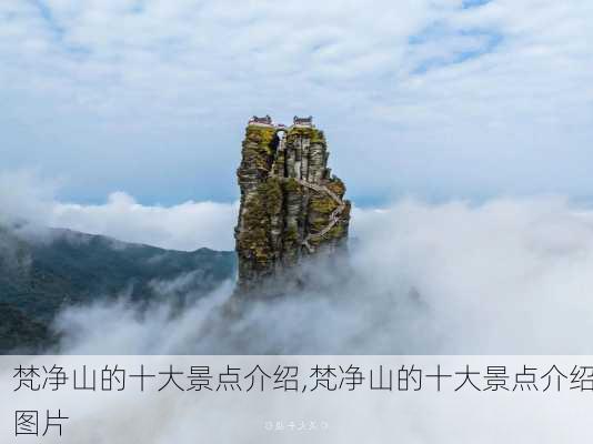 梵净山的十大景点介绍,梵净山的十大景点介绍图片