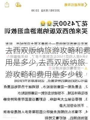 去西双版纳旅游攻略和费用是多少,去西双版纳旅游攻略和费用是多少钱