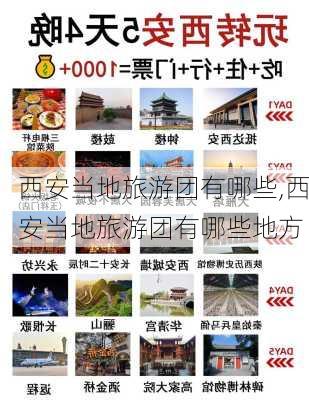 西安当地旅游团有哪些,西安当地旅游团有哪些地方