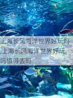 上海长风海洋世界好玩吗,上海长风海洋世界好玩吗值得去吗