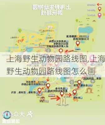 上海野生动物园路线图,上海野生动物园路线图怎么画