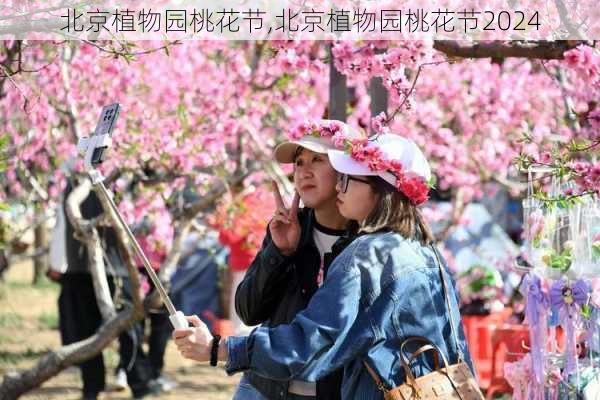 北京植物园桃花节,北京植物园桃花节2024