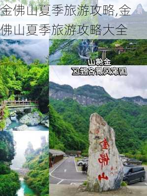 金佛山夏季旅游攻略,金佛山夏季旅游攻略大全