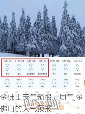 金佛山天气预报一周气,金佛山的天气预报