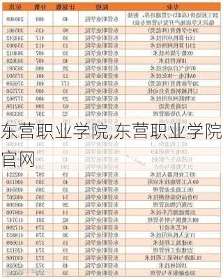 东营职业学院,东营职业学院官网