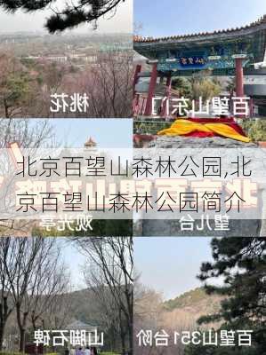 北京百望山森林公园,北京百望山森林公园简介