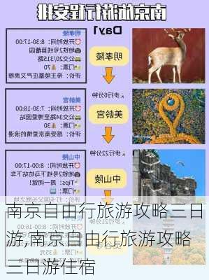 南京自由行旅游攻略三日游,南京自由行旅游攻略三日游住宿