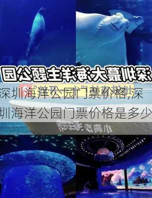 深圳海洋公园门票价格,深圳海洋公园门票价格是多少