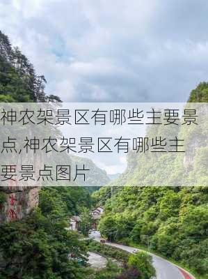 神农架景区有哪些主要景点,神农架景区有哪些主要景点图片